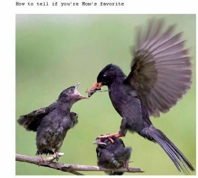 Mom's favorite